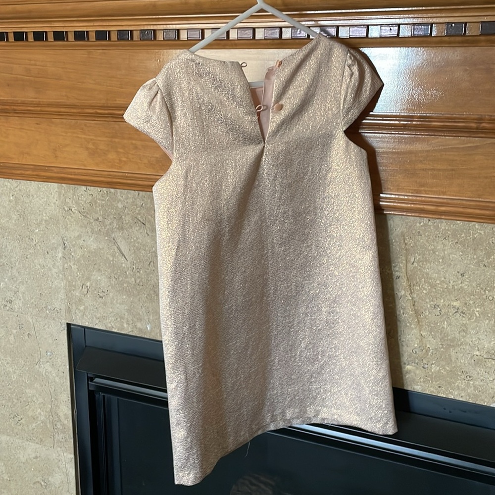 Gymboree dress - Picture 4 of 6